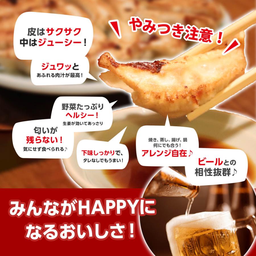 にんにく不使用 とりしそ 餃子 冷凍生餃子 生餃子 元祖えひめ餃子 餃子のヒーロー 90個入 ご当地餃子 愛媛県産餃子 ぎょうざ ギョウザ 保存料不使用 お取り寄せ |  | 03