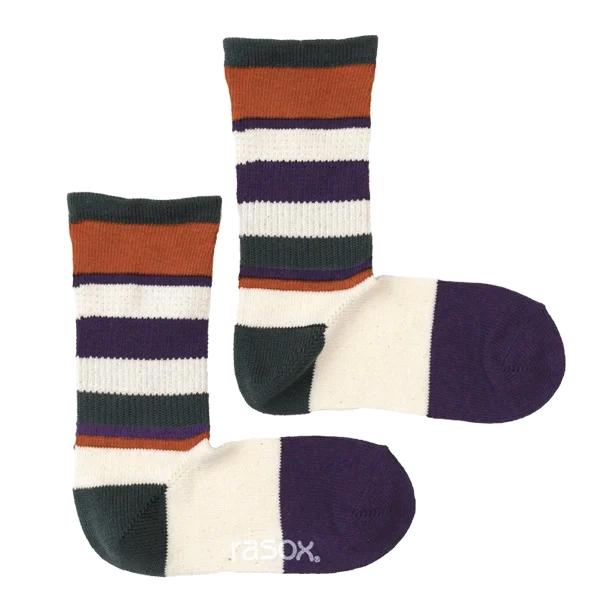 rasox マルチボーダー クルー ラソックス クルー丈ソックス CA240CR02 | rasox | 06