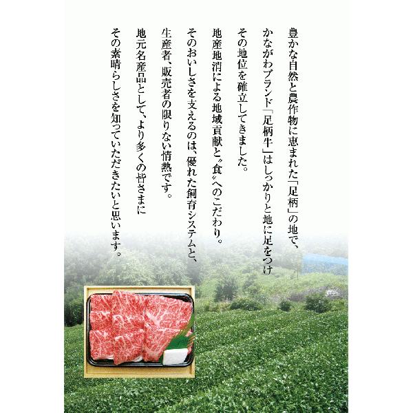 足柄牛入りメンチ10個入　メンチ　簡単揚げるだけ　お肉屋さんのお惣菜｜kadoyabokujou｜05