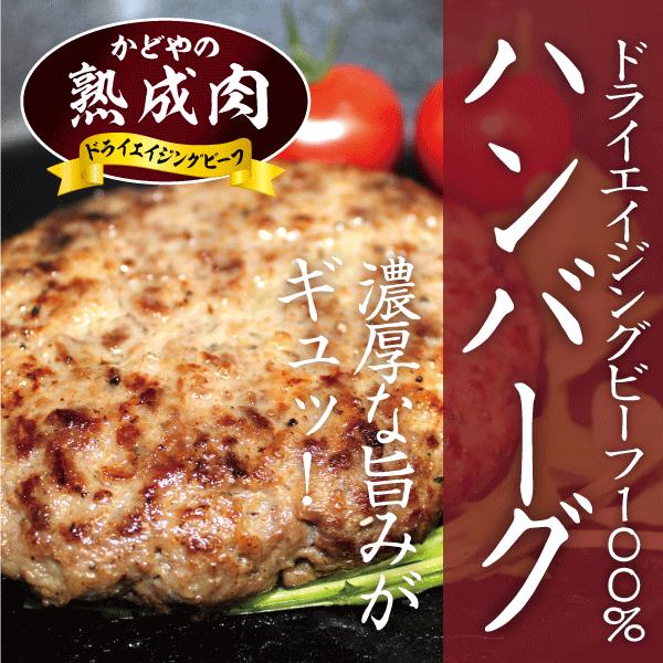 ドライエイジングビーフハンバーグ 150g 1個入 熟成肉ハンバーグ Sedistudio Com Au