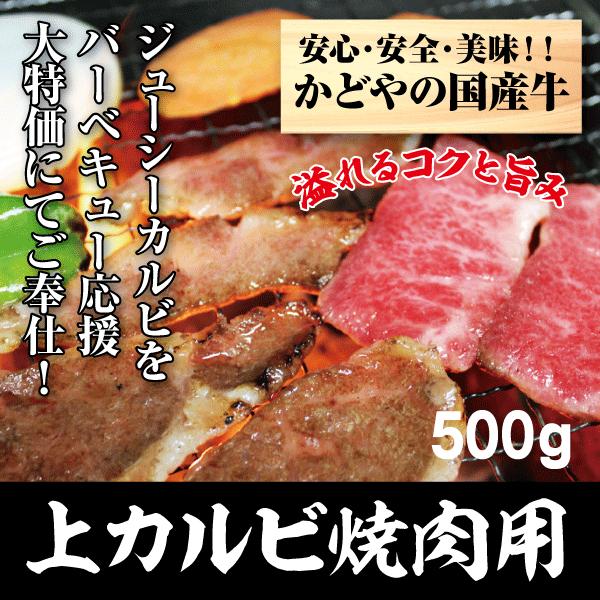 国産牛上カルビ焼肉用500g 別倉庫からの配送 日本最大級の品揃え