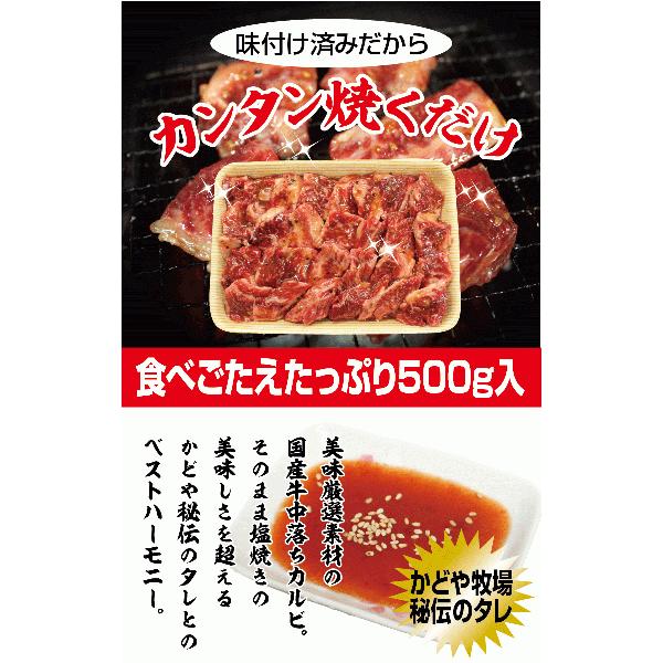 国産牛中落ちカルビ焼肉用500g 国産 牛肉 焼肉 BBQ :k-nakaoti-500:かどやファーム - 通販 - Yahoo!ショッピング 国産牛中落ちカルビ焼肉用500g 国産 牛肉 焼肉 BBQ :k-nakaoti-500:かどやファーム - 通販 - Yahoo!ショッピング
