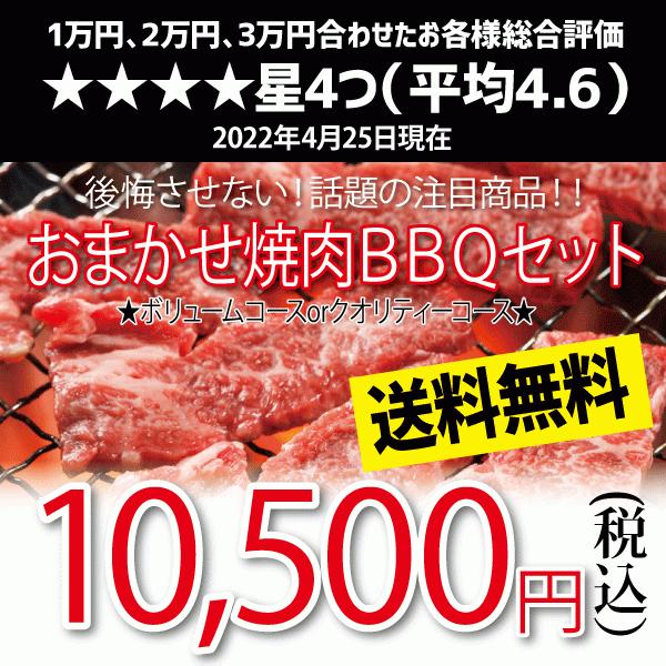おまかせ焼肉バーベキューセット 日本製 10500円 最高品質の BBQ 国産素材 食材 送料無料 国産牛