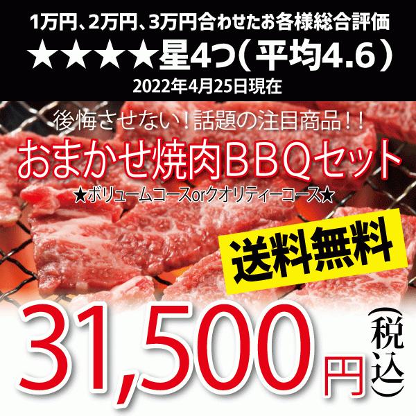 おまかせ焼肉バーベキューセット 30 000円 国産牛 国産素材 Bbq 送料無料 Omakase 30000 かどやファーム 通販 Yahoo ショッピング
