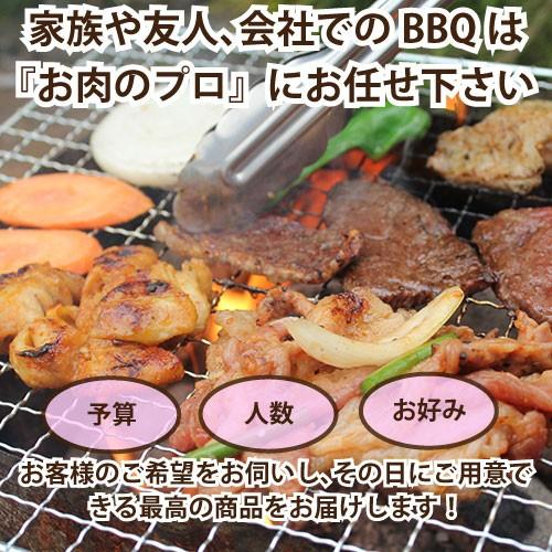 おまかせ焼肉バーベキューセット 30 000円 国産牛 国産素材 q 送料無料 Omakase かどやファーム 通販 Yahoo ショッピング