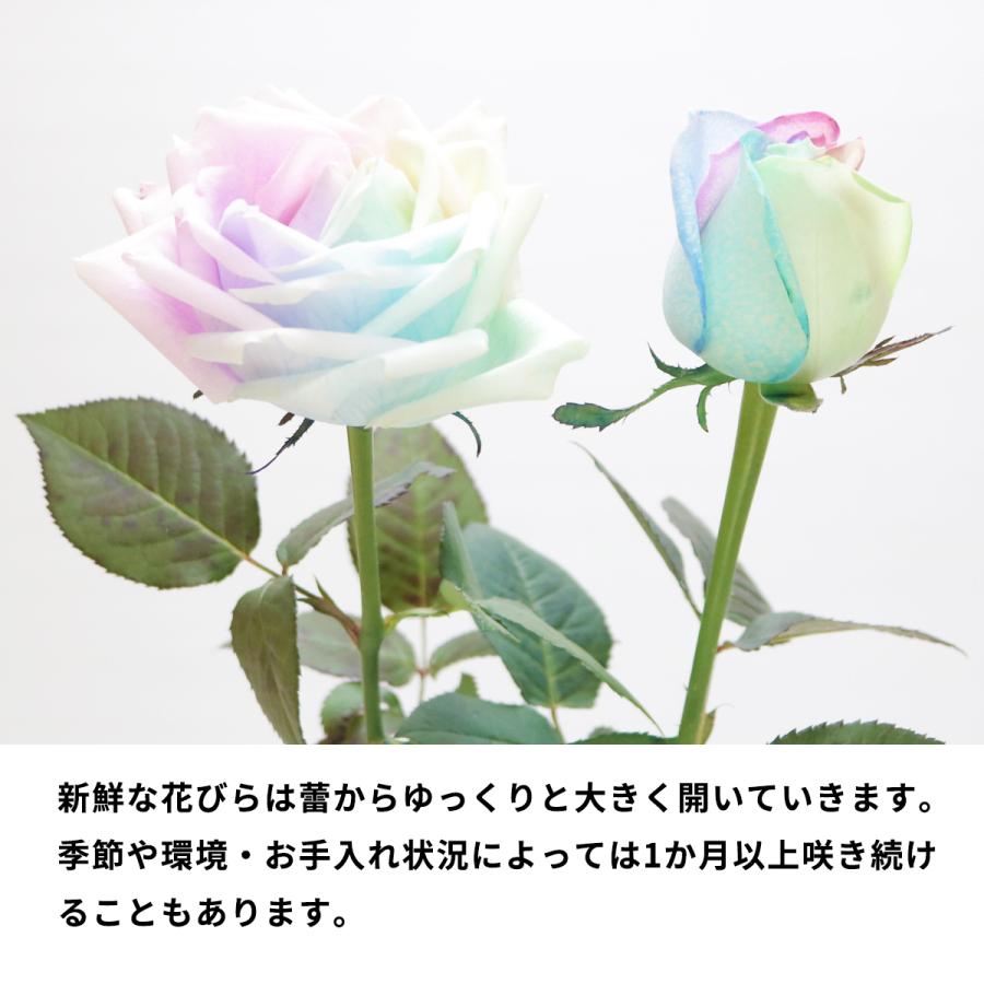 レインボーローズ ピュアパステル 季節の花 アレンジメント (L レインボーローズ ピュアパステル 季節の花 アレンジメント (L