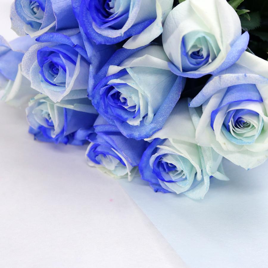 生花 ブルーローズ グラデーション 花束 10本 フラワーギフト 生花 青 バラ 安心のメーカー直販 Bgb 10 Kaduki Flowers Design 通販 Yahoo ショッピング