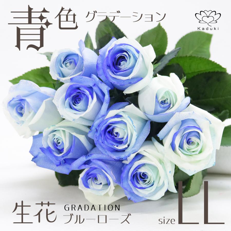 ブルーローズ グラデーション Llサイズ 選べる本数 花束 生花 青バラ フラワーギフト 安心のメーカー直販 Bgb 50 Kaduki Flowers Design 通販 Yahoo ショッピング