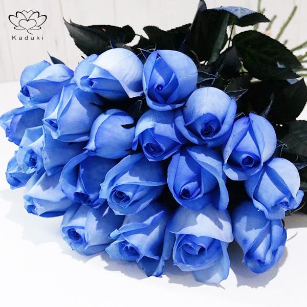 特価キャンペーン ブルーローズ 花束 20本 生花 ブーケ 早割クーポン ナチュラルカラー 青いバラ