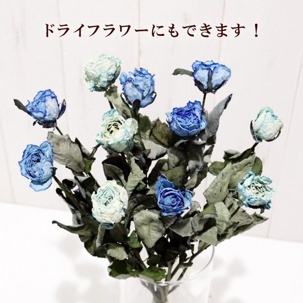 ブルーローズ アイス 花束 10本 生花 ナチュラルカラー 青いバラ