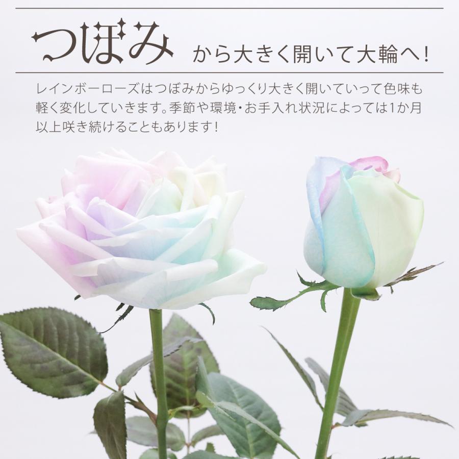 レインボーローズ ピュアパステル Mサイズ 選べる本数 花束 生花バラ