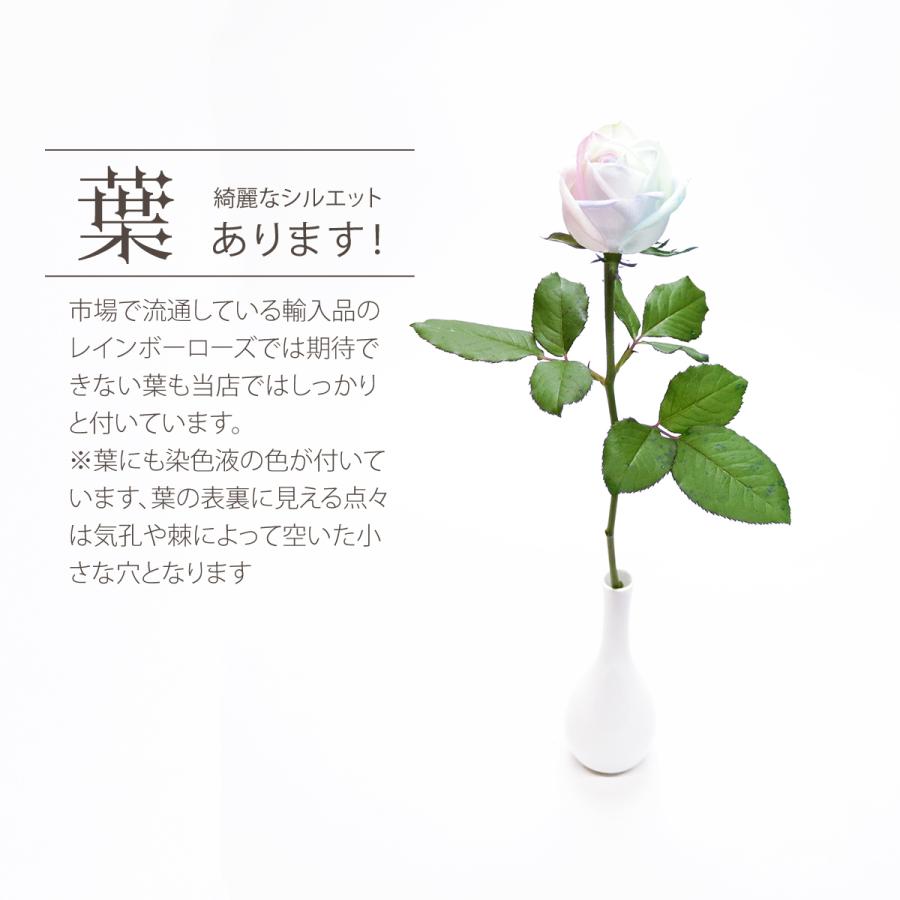 レインボーローズ ピュアパステル Mサイズ 1輪BOX 生花 バラ 花束