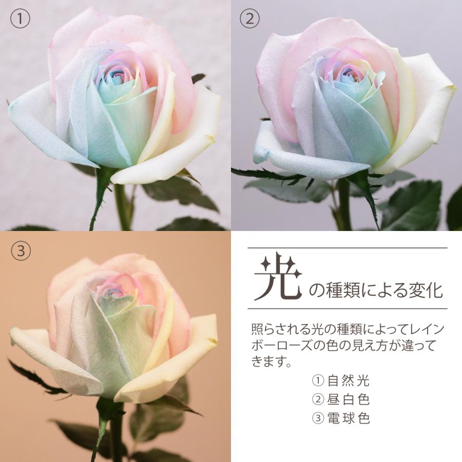レインボーローズ ピュアパステル Mサイズ 1輪BOX 生花 バラ 花束
