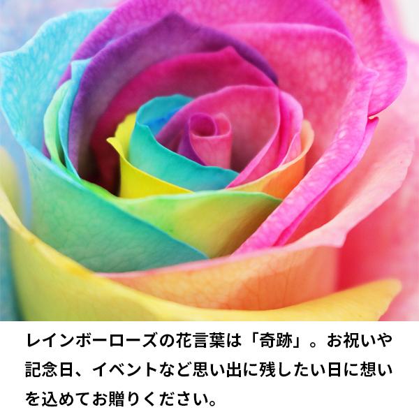 レインボーローズ ヴィヴィッド 花束 7本 フラワーギフト 生花 虹 バラ 安心のメーカー直販 Rvb 07 Kaduki Flowers Design 通販 Yahoo ショッピング