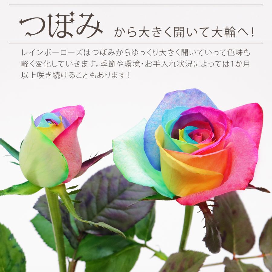 レインボーローズ イロドリ Lサイズ 選べる本数 花束 生花バラ フラワーギフト 安心のメーカー直販 Rvb 07 Kaduki Flowers Design 通販 Yahoo ショッピング