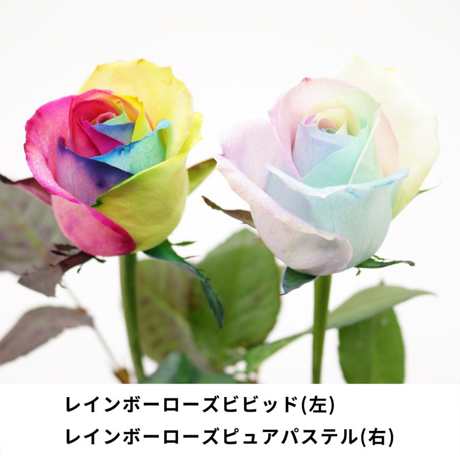 レインボーローズ イロドリ 花束 10本 フラワーギフト 生花 虹 バラ 安心のメーカー直販 :rvb-10:Kaduki FLOWERSDESIGN - 通販 - Yahoo!ショッピング レインボーローズ イロドリ 花束 10本 フラワーギフト 生花 虹 バラ 安心のメーカー直販 :rvb-10:Kaduki FLOWERSDESIGN - 通販 - Yahoo!ショッピング