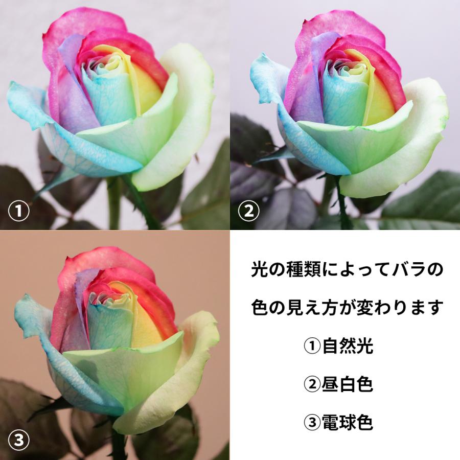 レインボーローズ イロドリ 花束 10本 フラワーギフト 生花 虹 バラ 安心のメーカー直販 :rvb-10:Kaduki FLOWERSDESIGN - 通販 - Yahoo!ショッピング レインボーローズ イロドリ 花束 10本 フラワーギフト 生花 虹 バラ 安心のメーカー直販 :rvb-10:Kaduki FLOWERSDESIGN - 通販 - Yahoo!ショッピング