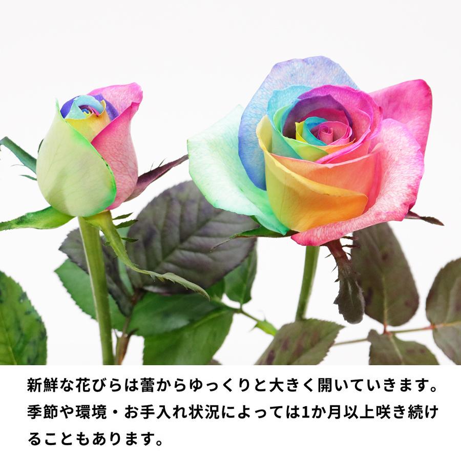 レインボーローズ ヴィヴィッド 花束 10本 フラワーギフト 生花 虹 バラ 安心のメーカー直販 Rvb 10 Kaduki Flowers Design 通販 Yahoo ショッピング