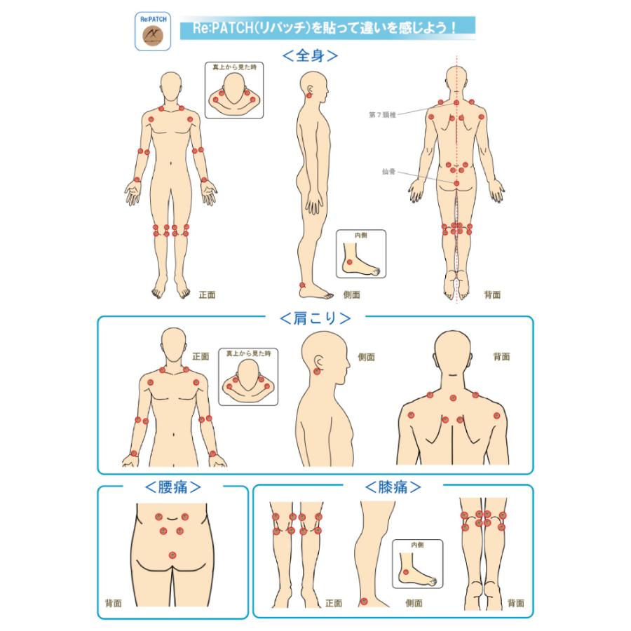 送料無料 ポイント2倍 一般医療機器 AXF axisfirm アクセフ Re