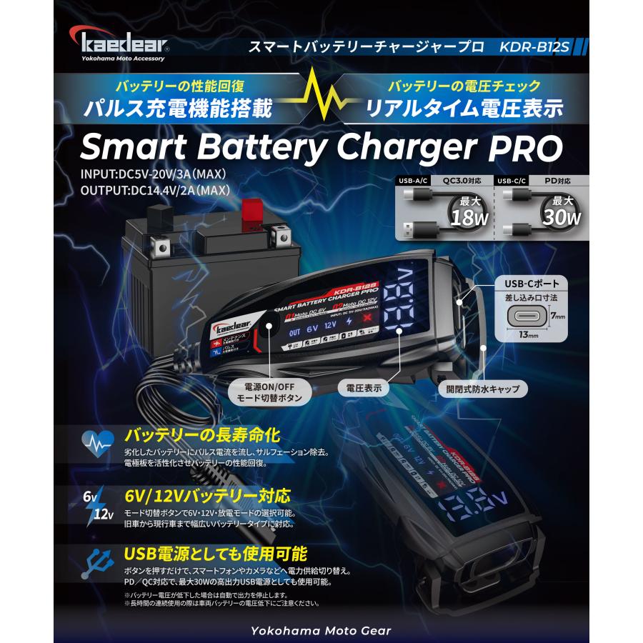 Kaedear（カエディア） バイク バッテリー充電器 USB 入力 12V/6V