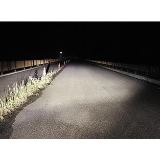 SPHERE LIGHT スフィアライト スフィア LED RIZINGa Hi/Lo 4500K SPHERE LIGHT スフィアライト スフィア LED RIZINGa Hi/Lo 4500K