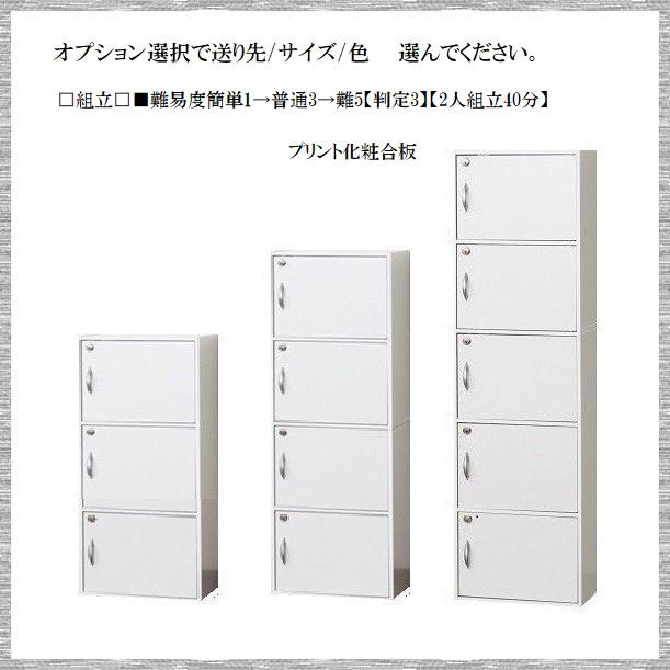 DOOR ドア 3段 4段 5段 品番902201  鍵付収納 同じカギ 組立 おもちゃ入れ 小物入れ 洗面所 脱衣所 子供部屋 リビング クローゼット 本箱 収納棚｜kaedeinterior｜02