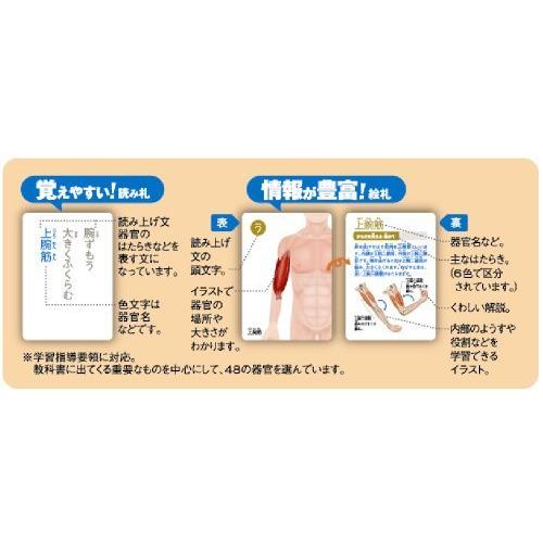 超美品 人のからだかるた 海外最新 Www Muslimaidusa Org