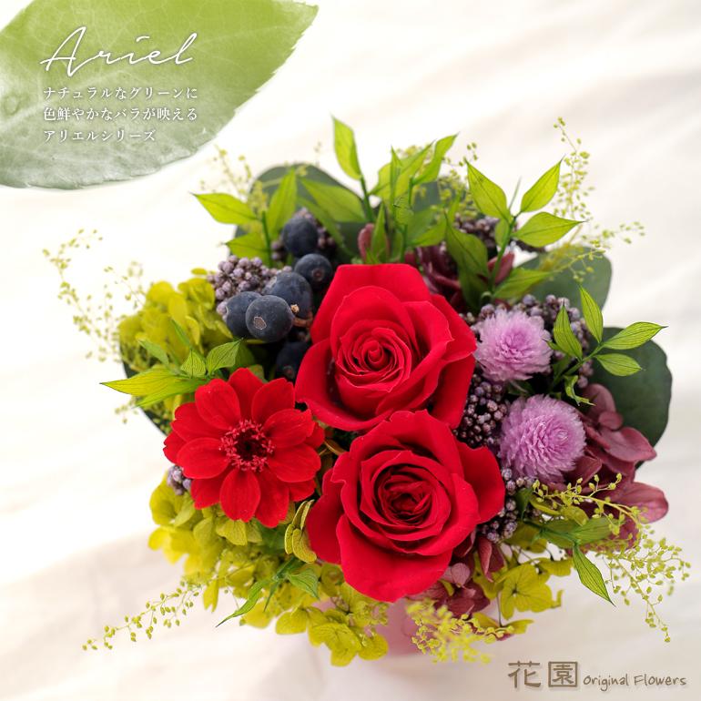 プリザーブドフラワー アリエル レッド クリアケース付き 誕生日 贈り物 記念日 母の日 敬老の日 プレゼント ギフト 枯れない 花 お祝い Ps0001 花園オリジナルフラワーズ 通販 Yahoo ショッピング