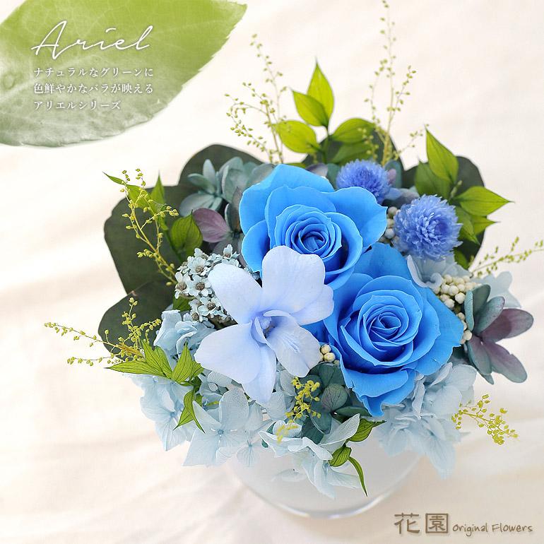 プリザーブドフラワー アリエル ブルー クリアケース付き 誕生日 贈り物 記念日 母の日 敬老の日 プレゼント ギフト 枯れない 花 お祝い Ps0007 花園オリジナルフラワーズ 通販 Yahoo ショッピング