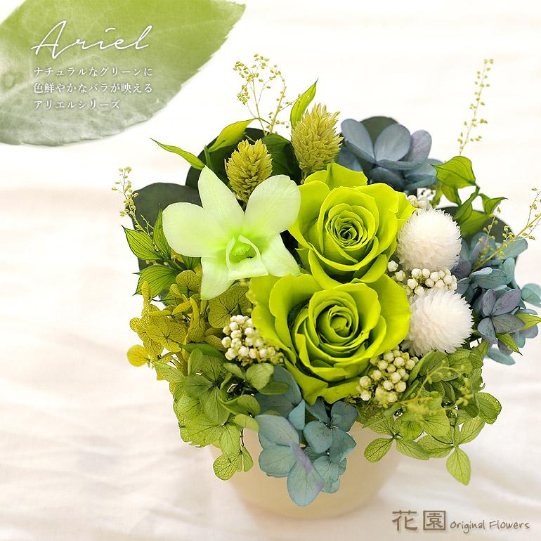 プリザーブドフラワー「アリエル・グリーン」クリアケース付き 誕生日