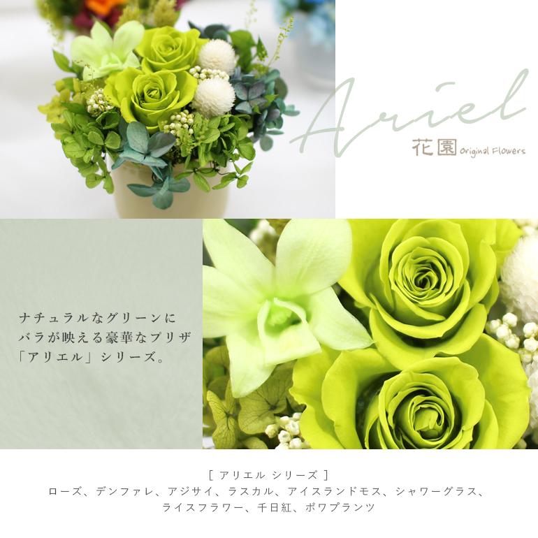 ★素敵なお花が長持ち★ポワール プリザーブドフラワー（グリーン） ☆素敵なお花が長持ち☆ポワール プリザーブドフラワー（グリーン）