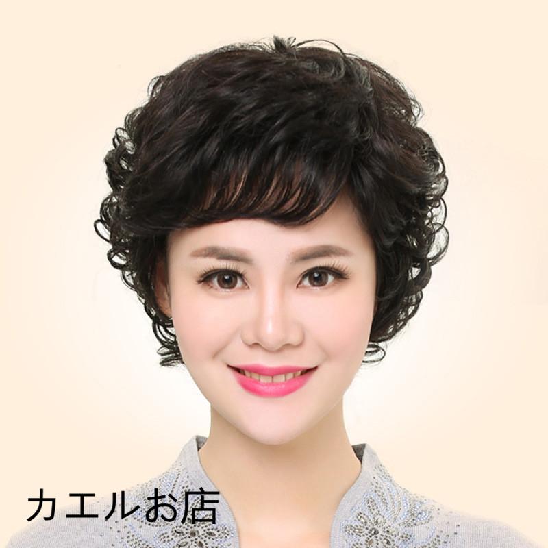 新品本物 人毛ウィッグ 100 人毛 女性 かつら ママ 軽い 通気性いい 若く見える 自然 オシャレ 時間指定不可 Www Aqtsolutions Com