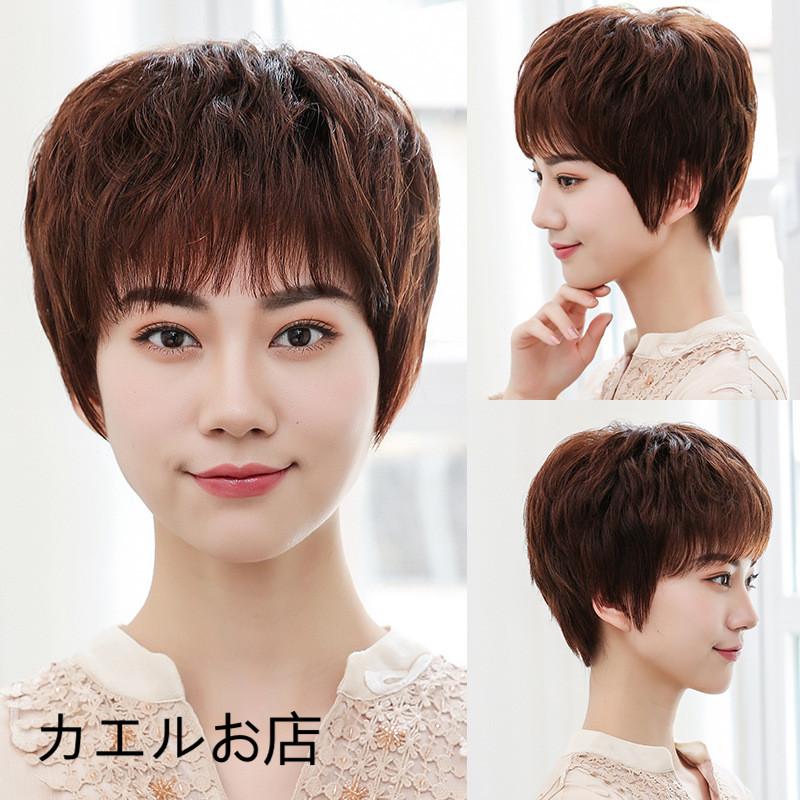 全国組立設置無料 人毛ウィッグ 100 人毛 女性 かつら ママ 軽い 通気性いい 若く見える 値引 Zoetalentsolutions Com