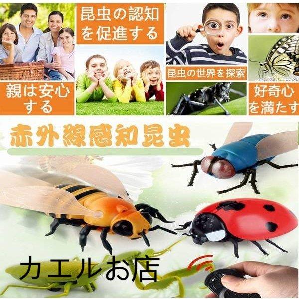 リモコン昆虫 擬似昆虫 てんとう虫 カメ サソリ カブトムシ かまきり ミツバチ リモコン電子ペット リモコン付き クリエイティブ 電動おもちゃ Z カエルお店 通販 Yahoo ショッピング