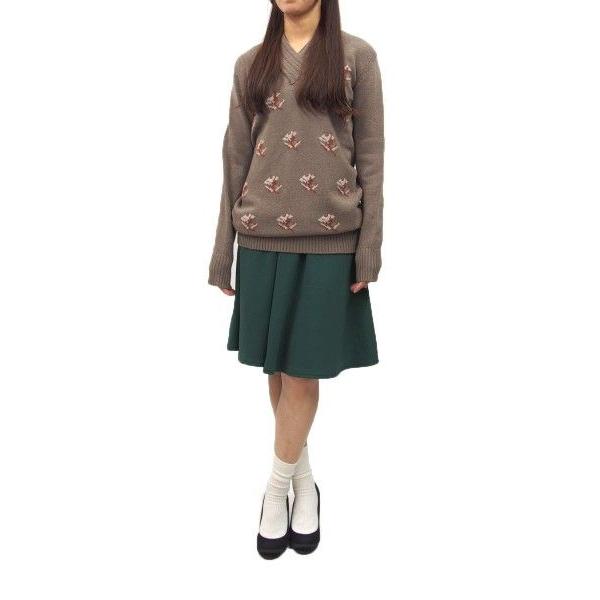 Borgo TrevisoVネックデザインニット(サイズ42)(ブラウン)
