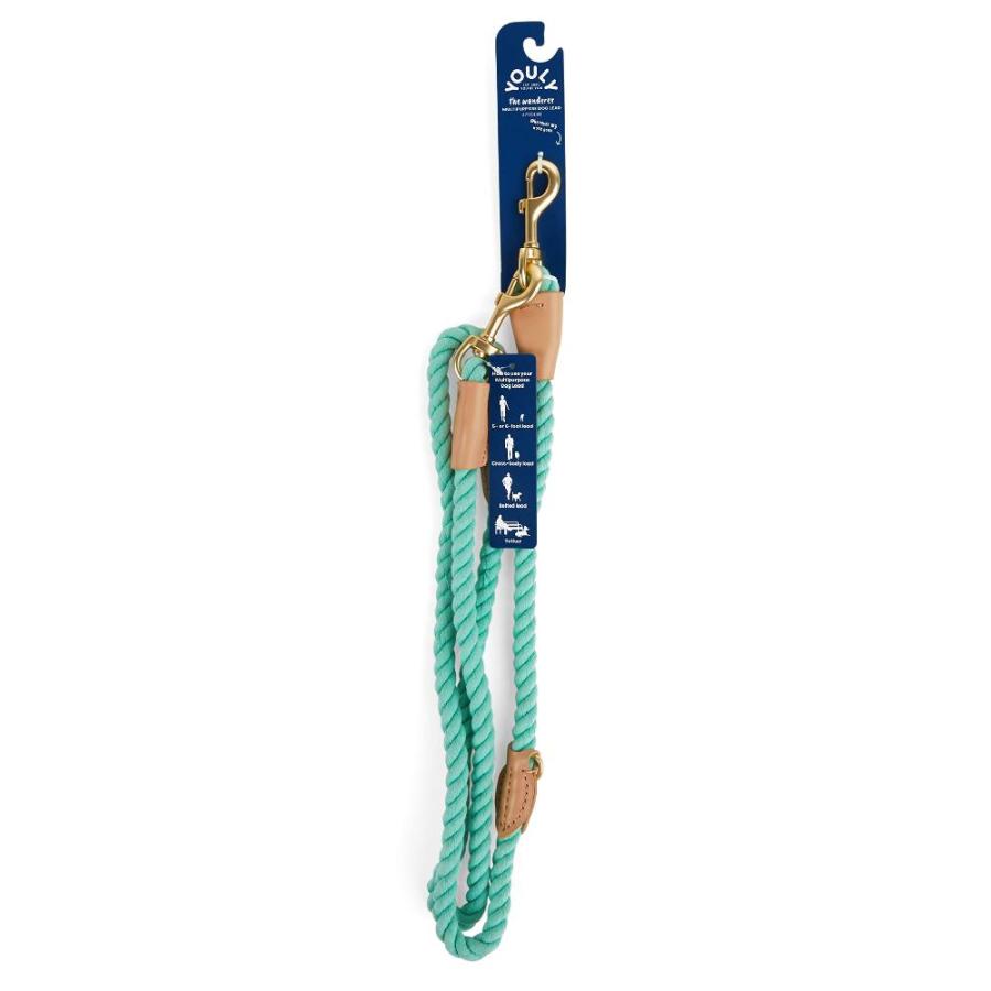 Petco Brand YOULY The Wanderer MultiPurpose Turquoise Rope Dog Leash 6