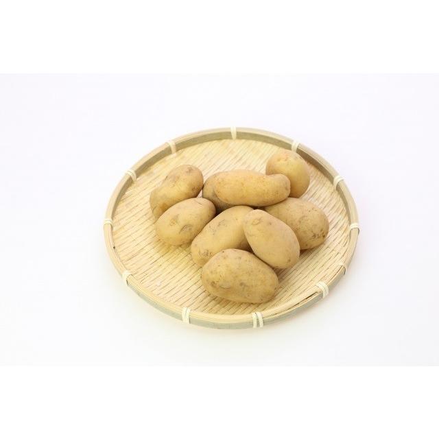 カドウフーズ レトルト野菜 もう、ゆでちゃった じゃがいも 1kg入×1