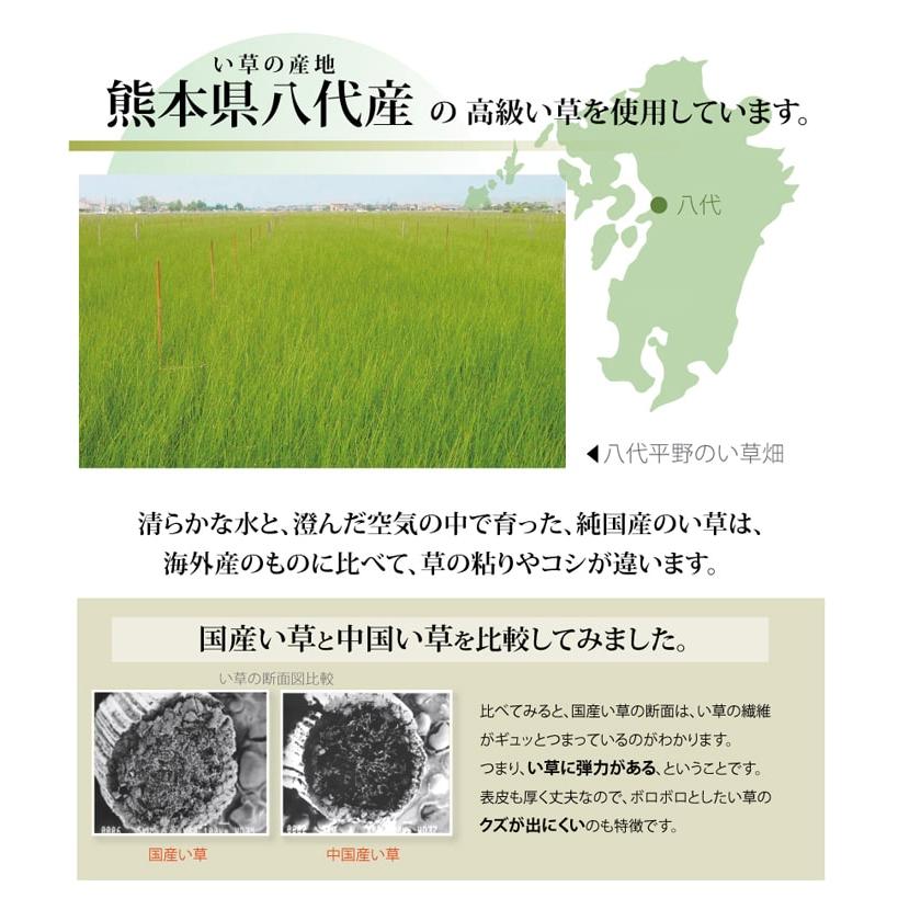 純国産 い草 上敷き カーペット 麻綿織 『清正』 本間6畳(約286×382cm） 熊本県八代産イ草使用[13]_5