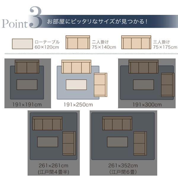 い草ラグ い草カーペット い草マット 上敷き 畳 フローリング 置き畳 ござ ゴザ 敷物 不織布有 191×250 3畳 ベージュ_6