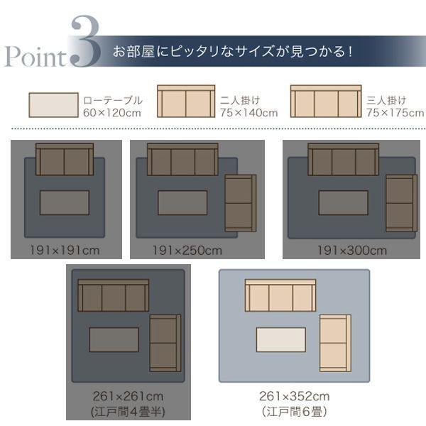 い草ラグ い草カーペット い草マット 上敷き 畳 フローリング 置き畳 ござ ゴザ 敷物 不織布有 261×352 6畳 ブラウン 茶色_6