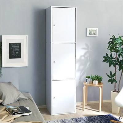 最新の激安 本棚 収納棚 整理棚 棚 ラック 大容量 扉 キャビネット スリム 単行本棚 文庫本棚 漫画本棚 Dvd 3段 隙間 約 幅40 安い購入 Financierilimitado Com Br