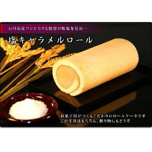 訳あり　※箱無し【簡易包装】　加賀ロール　2本セット coolアイス ロールケーキ rset |  | 02