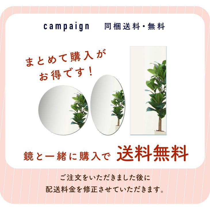 石膏ボード用 ピンセット 鏡 壁掛け かがみのカタチ 専用セット 4穴用