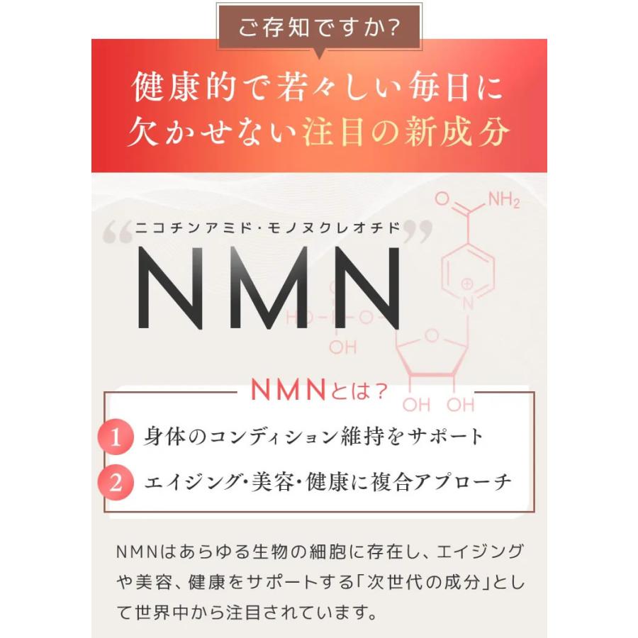 NMN サプリ サプリメント Re:Bloom 4500mg 高配合 90カプセル 純国産