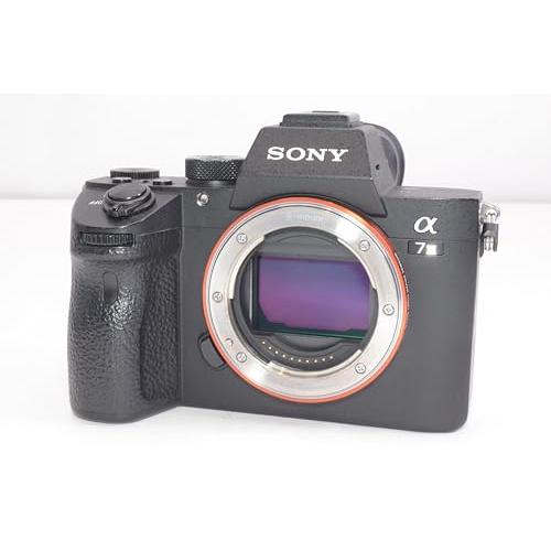 ソニー(SONY) フルサイズ ミラーレス一眼カメラ α7III ボディ(レンズなし) ブラック ILCE-7M3｜kagayaki-shops3｜02