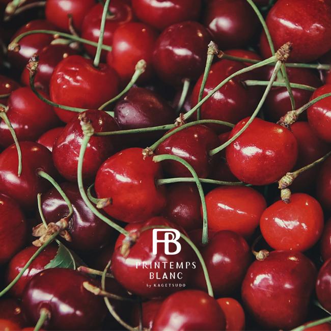 【ヤフショオリジナル】ホワイトデー チョコ 本命 ヤフー限定 ロールケーキ フォレノワール 送料無料 キルシュ チョコレート | PRINTEMPS BLANC by KAGETSUDO | 03