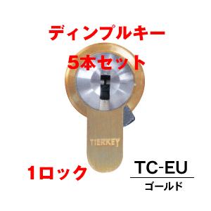 工事費込セット ティアキー ユーロプロファイル ゴールド 鍵5本