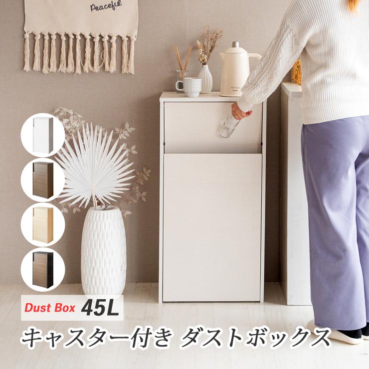 ゴミ箱 おしゃれ 45l 45L スリム ふた付き ダストボックス キャスター