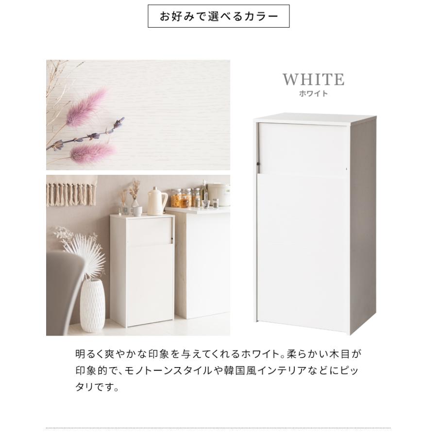 ゴミ箱 おしゃれ 45l 45L スリム ふた付き ダストボックス キャスター