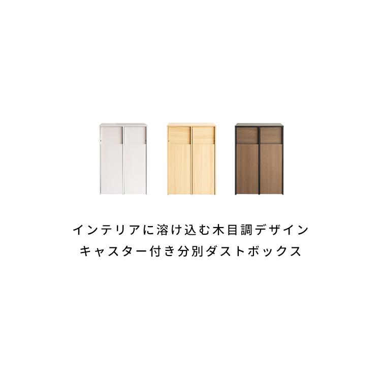 ゴミ箱 キャスター付き おしゃれ 45l 45L スリム ふた付き